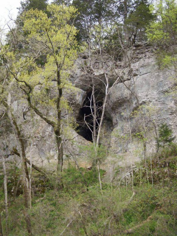 scenic Cave on the Duck River