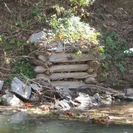 Wallace Mill site on the Duck River