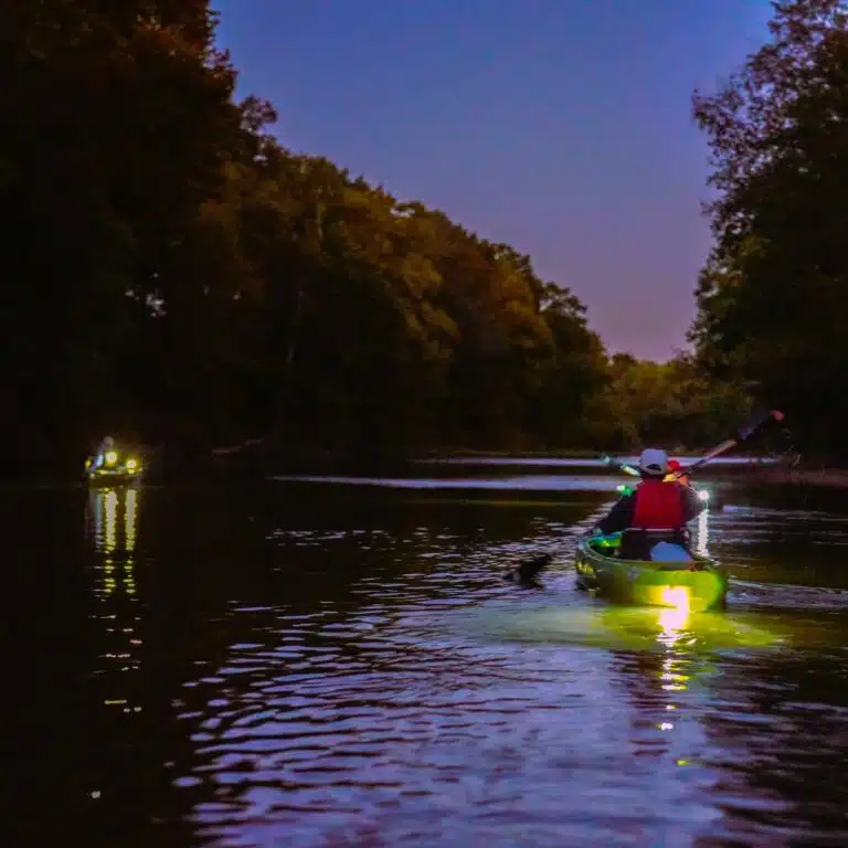 Guided trip Paddling at Twilight