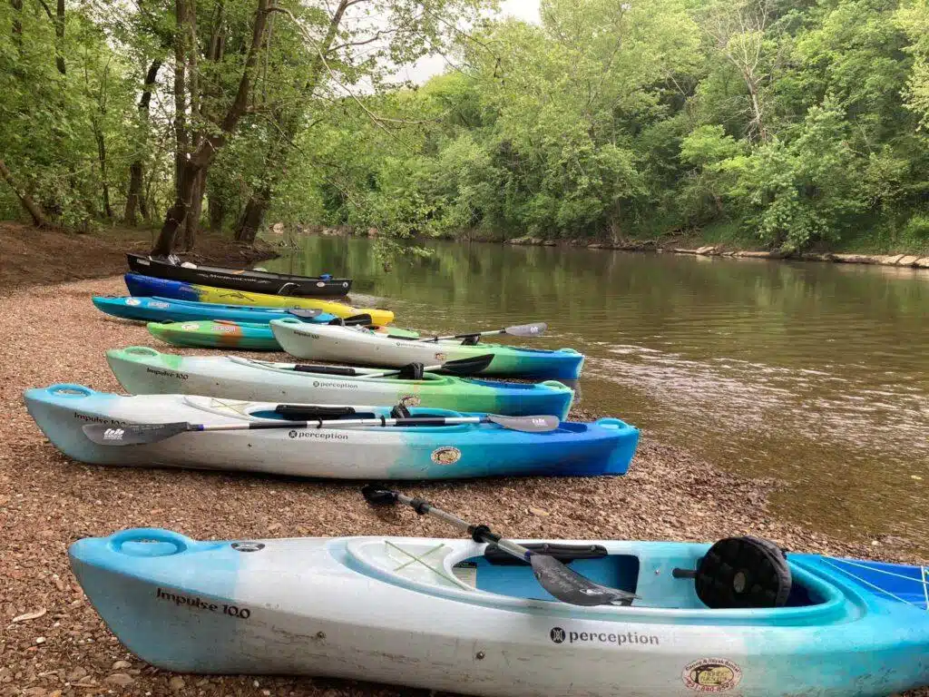 Guided paddling trip with Kayaks on a gravel bar