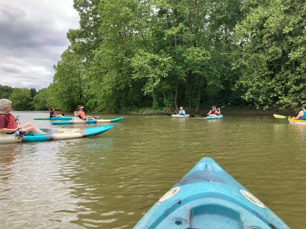 Advanced kayaking Class